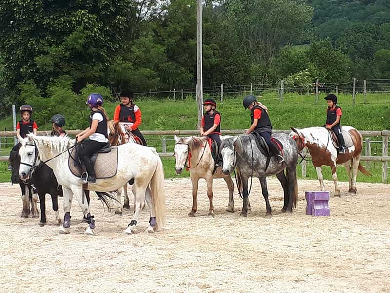 Groupes et scolaires à cheval